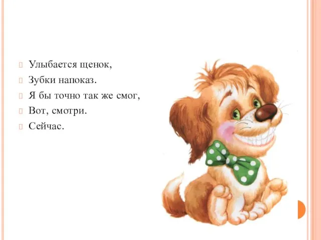 Улыбается щенок, Зубки напоказ. Я бы точно так же смог, Вот, смотри. Сейчас.