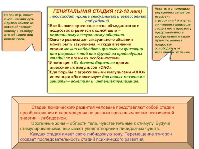 Стадии психического развития человека представляют собой стадии преобразования и перемещения