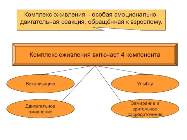 Комплекс оживления – особая эмоционально-двигательная реакция, обращённая к взрослому. Комплекс