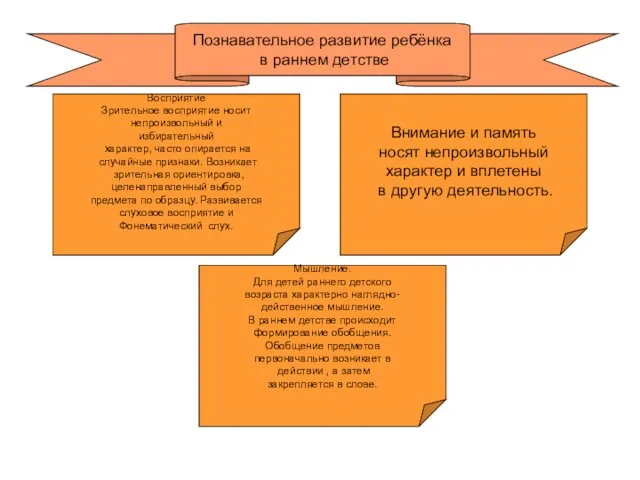 Познавательное развитие ребёнка в раннем детстве Восприятие Зрительное восприятие носит