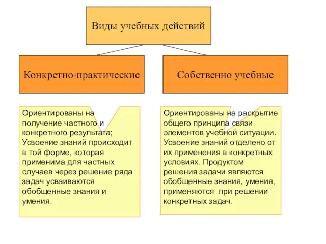 Собственно учебные Конкретно-практические Виды учебных действий Ориентированы на получение частного