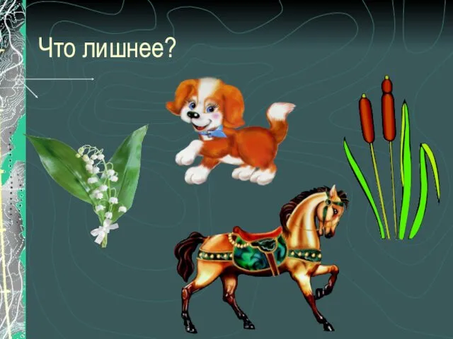 Что лишнее?