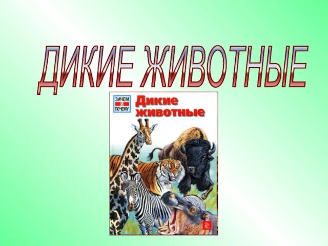 ДИКИЕ ЖИВОТНЫЕ