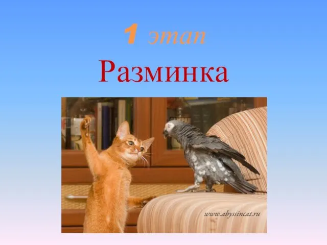 1 этап Разминка