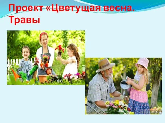 Проект «Цветущая весна. Травы