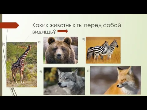 Каких животных ты перед собой видишь? 1) 2) 3) 4) 5)