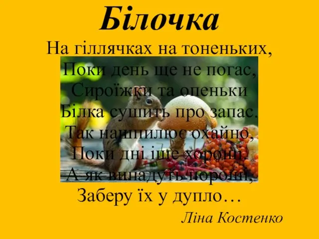 Білочка На гіллячках на тоненьких, Поки день ще не погас,