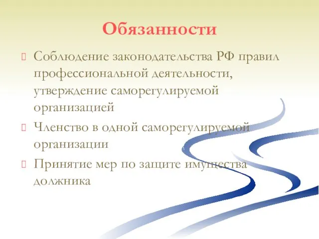 Обязанности Соблюдение законодательства РФ правил профессиональной деятельности, утверждение саморегулируемой организацией