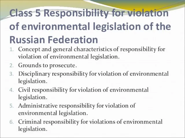 Class 5 Responsibility for violation of environmental legislation of the