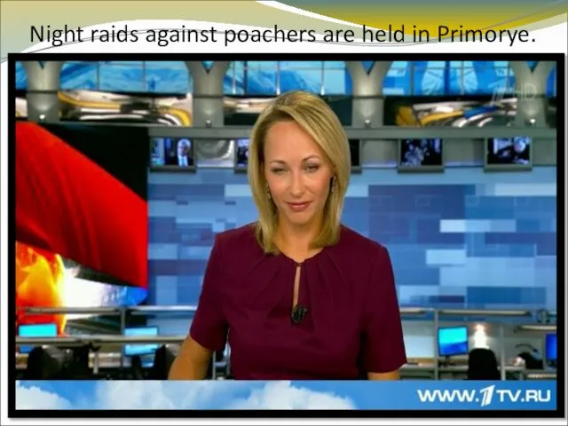 Night raids against poachers are held in Primorye.