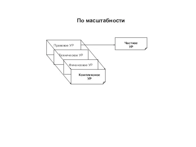 По масштабности Правовое УР Техническое УР Финансовое УР Комплексное УР Частное УР