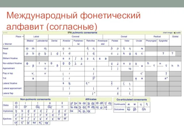 Международный фонетический алфавит (согласные)