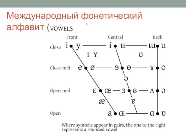 Международный фонетический алфавит (гласные)