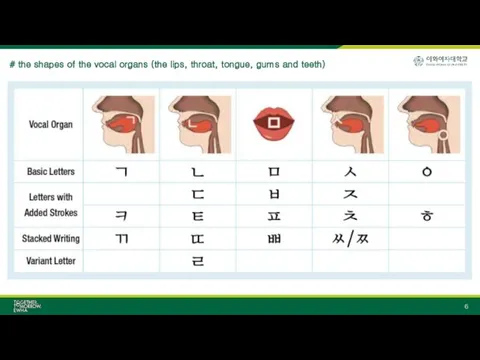 # the shapes of the vocal organs (the lips, throat, tongue, gums and teeth)