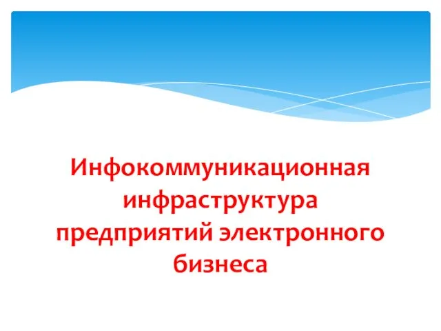 Инфокоммуникационная инфраструктура предприятий электронного бизнеса