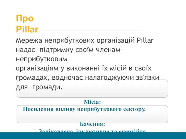 Мережа неприбуткових організацій Pillar надає підтримку своїм членам-неприбутковим організаціям у