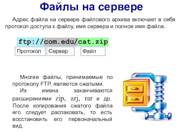 Файлы на сервере ftp://com.edu/cat.zip Протокол Сервер Файл Адрес файла на