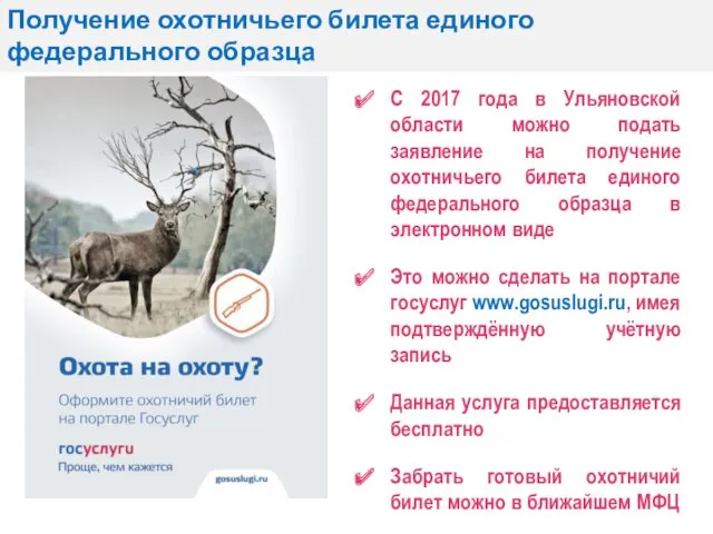 Получение охотничьего билета единого федерального образца С 2017 года в Ульяновской области можно