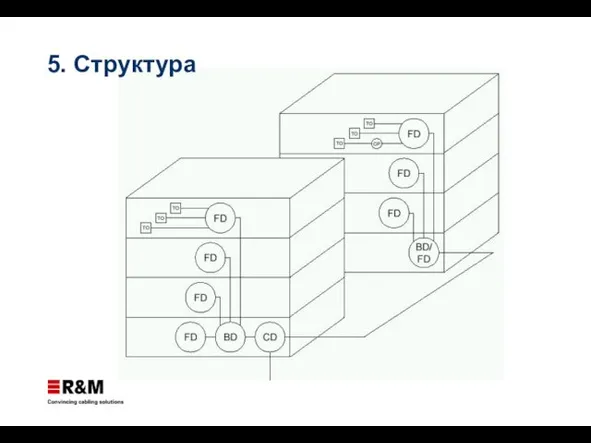 5. Структура