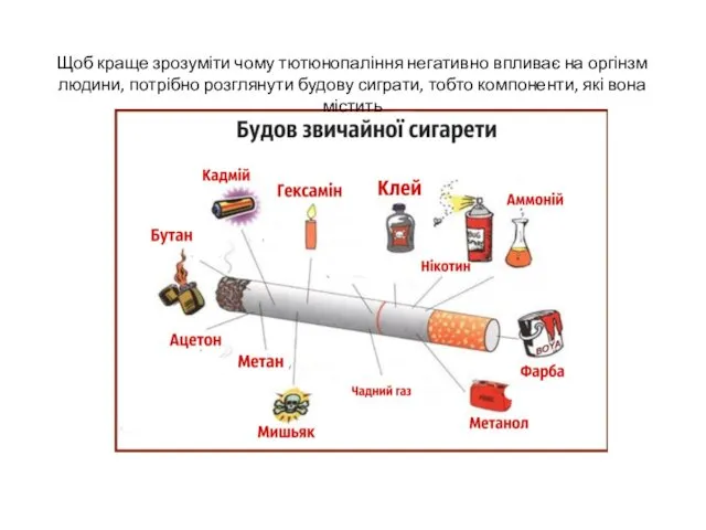 Щоб краще зрозуміти чому тютюнопаління негативно впливає на оргінзм людини,