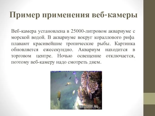 Пример применения веб-камеры Веб-камера установлена в 25000-литровом аквариуме с морской