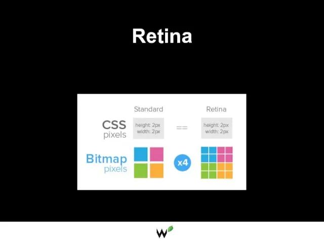 Retina