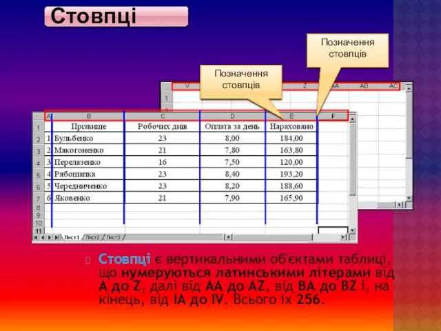 Стовпці Стовпці є вертикальними об'єктами таблиці, що нумеруються латинськими літерами