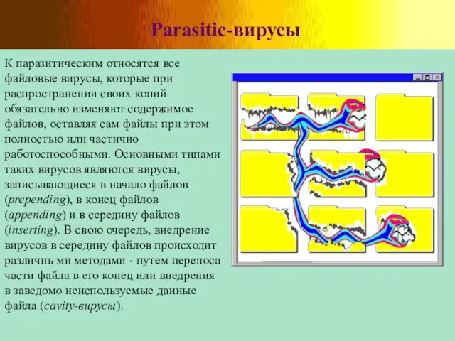 Parasitic-вирусы К паразитическим относятся все файловые вирусы, которые при распространении своих копий обязательно