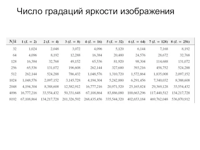 Число градаций яркости изображения