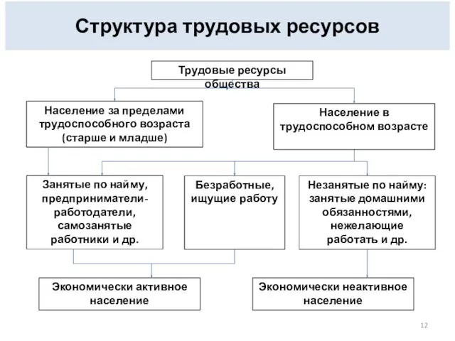 Структура трудовых ресурсов