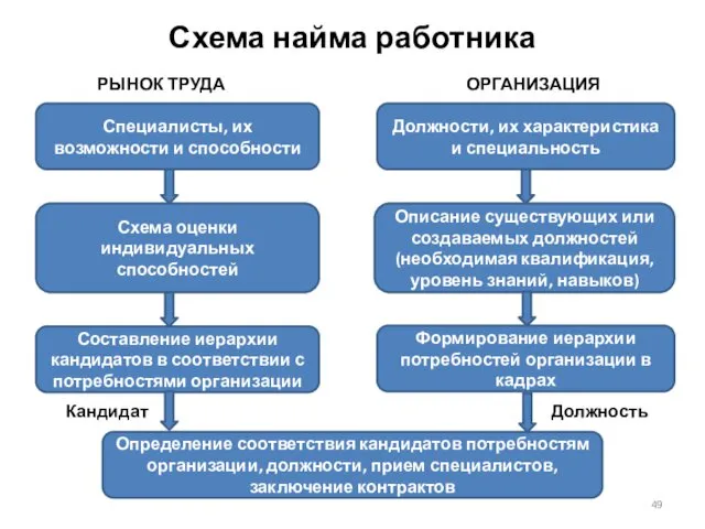 Схема найма работника РЫНОК ТРУДА ОРГАНИЗАЦИЯ Специалисты, их возможности и