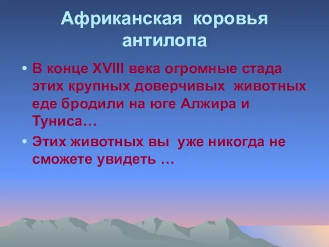 Африканская коровья антилопа В конце ХVIII века огромные стада этих