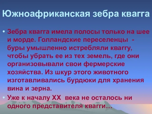 Южноафриканская зебра квагга Зебра квагга имела полосы только на шее