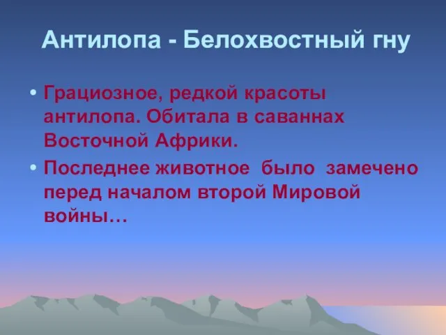 Антилопа - Белохвостный гну Грациозное, редкой красоты антилопа. Обитала в