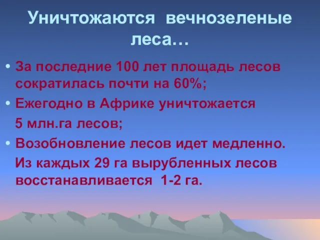 Уничтожаются вечнозеленые леса… За последние 100 лет площадь лесов сократилась