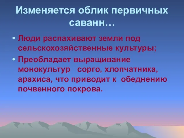 Изменяется облик первичных саванн… Люди распахивают земли под сельскохозяйственные культуры;