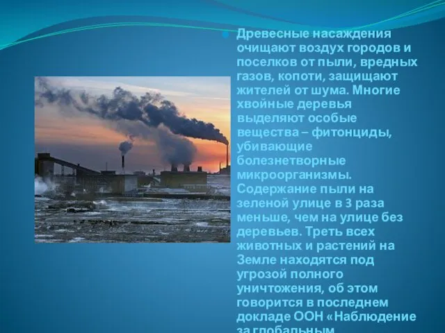 Древесные насаждения очищают воздух городов и поселков от пыли, вредных