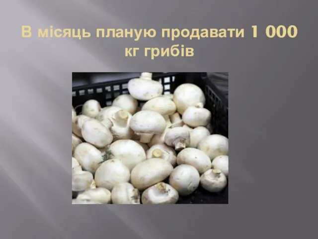 В місяць планую продавати 1 000 кг грибів