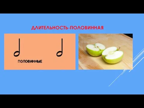 ДЛИТЕЛЬНОСТЬ-ПОЛОВИННАЯ