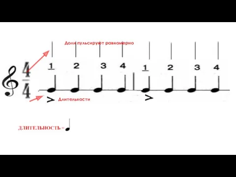 ДЛИТЕЛЬНОСТЬ = ДЛИТЕЛЬНОСТЬ Доли пульсируют равномерно Длительности