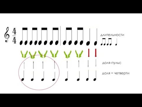 доля = четверти длительности доля-пульс
