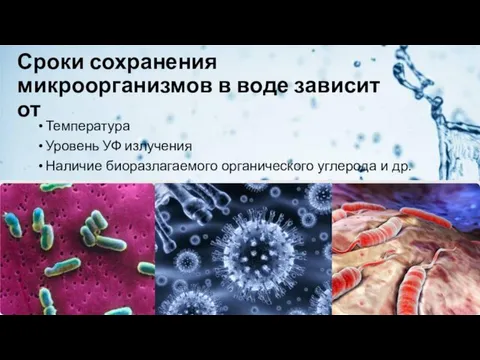 Сроки сохранения микроорганизмов в воде зависит от Температура Уровень УФ