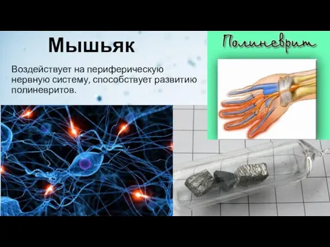 Мышьяк Воздействует на периферическую нервную систему, способствует развитию полиневритов.