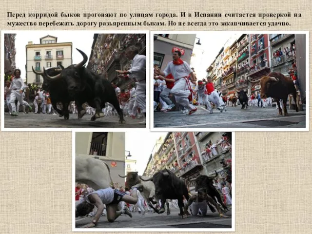 Перед корридой быков прогоняют по улицам города. И в Испании