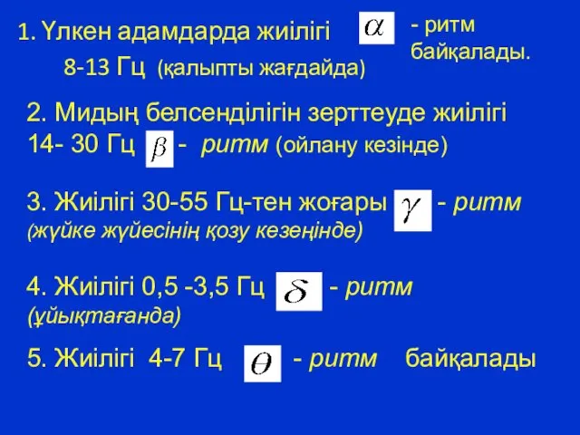 1. Үлкен адамдарда жиілігі 8-13 Гц (қалыпты жағдайда) - ритм