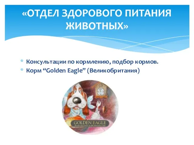 Консультации по кормлению, подбор кормов. Корм “Golden Eagle” (Великобритания) «ОТДЕЛ ЗДОРОВОГО ПИТАНИЯ ЖИВОТНЫХ»