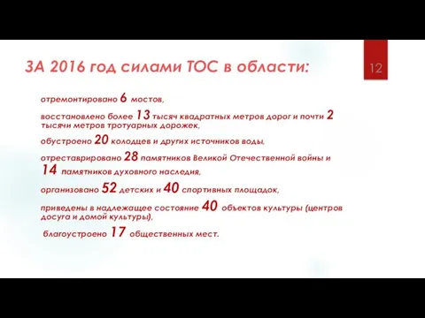 ЗА 2016 год силами ТОС в области: отремонтировано 6 мостов,