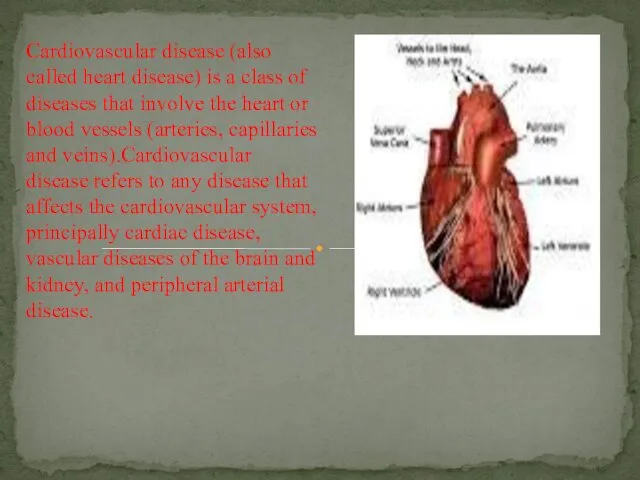 Cardiovascular disease (also called heart disease) is a class of