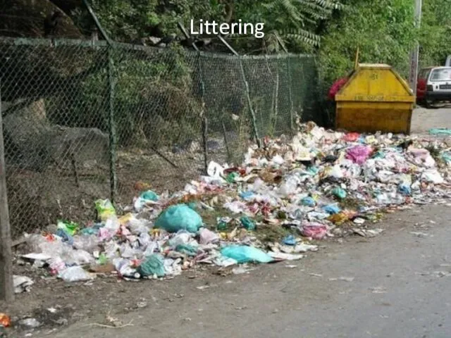 Littering