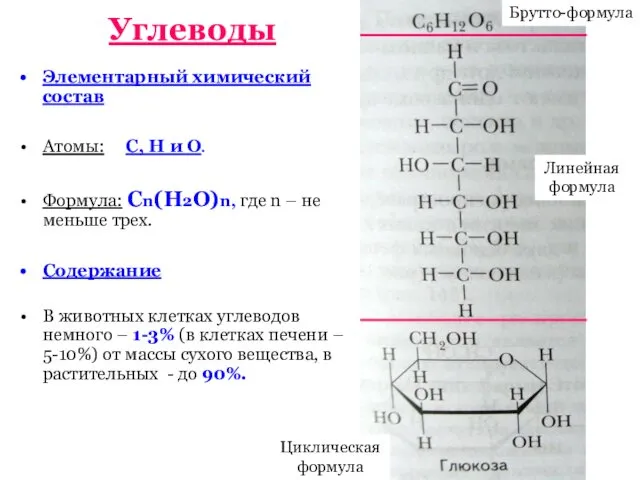 Углеводы Элементарный химический состав Атомы: С, Н и О. Формула: Сn(Н2О)n, где n
